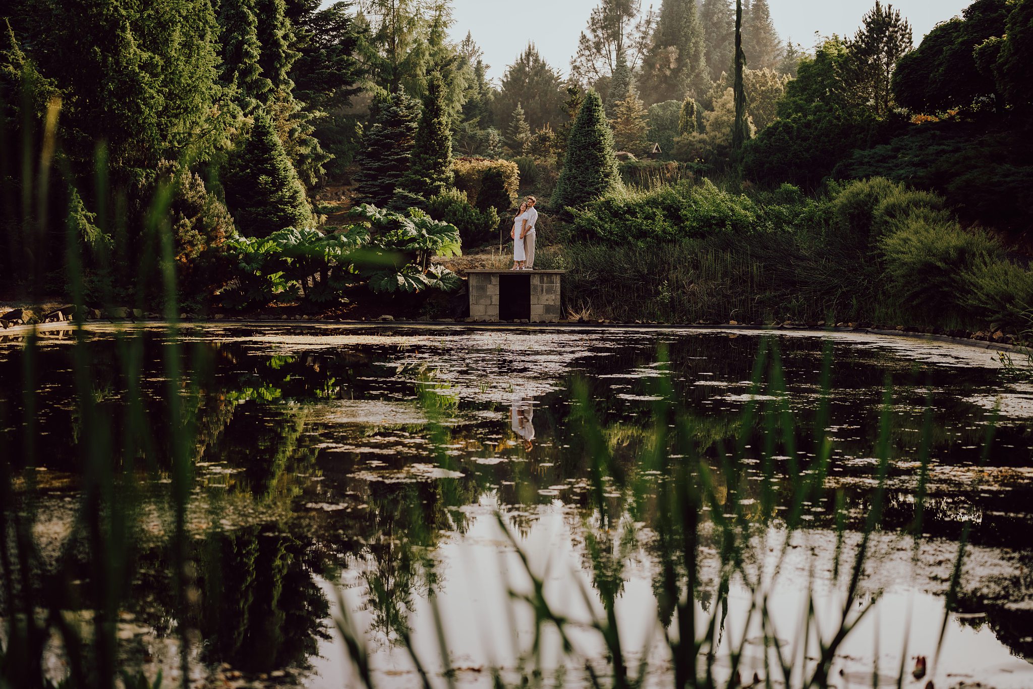 brzoskwinia ogród pod krakowem